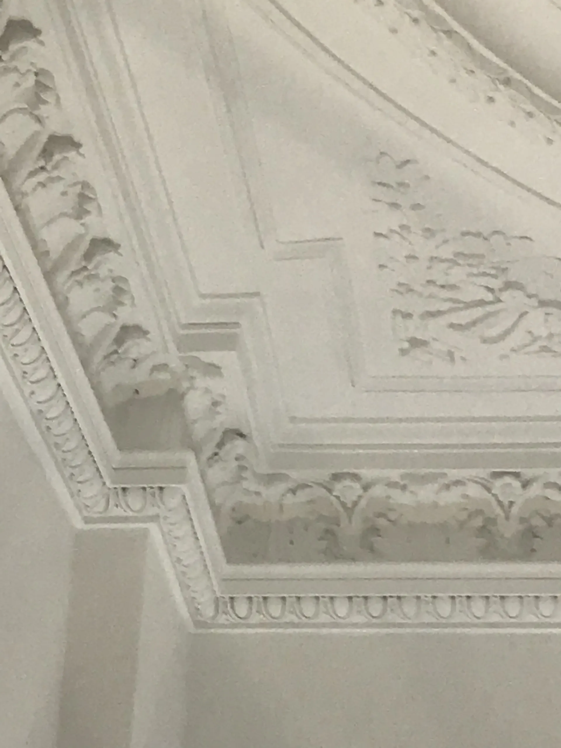 Restaurierung Stuck Innen in Wuppertal Friedrich-Ebert-Straße durch Stuckateurmeister Alexander Leubner 